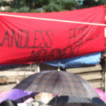 DSCF3242