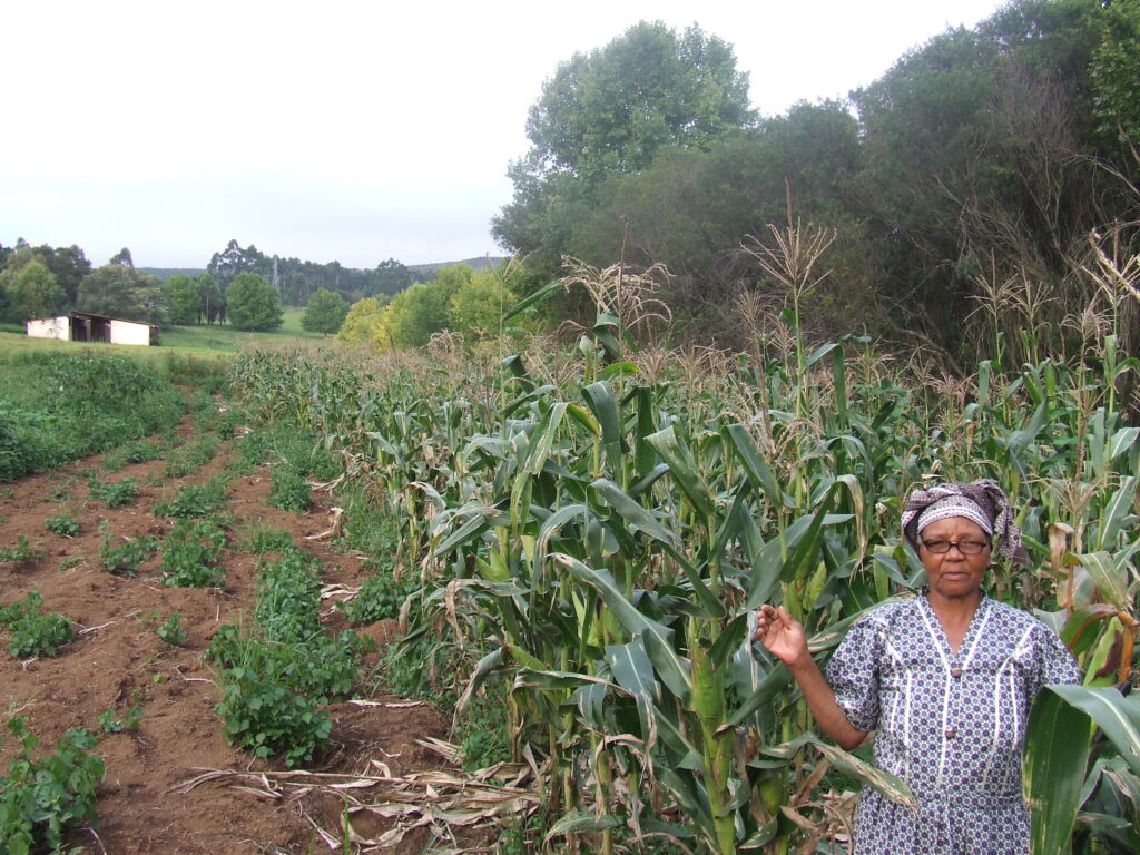 Church Land