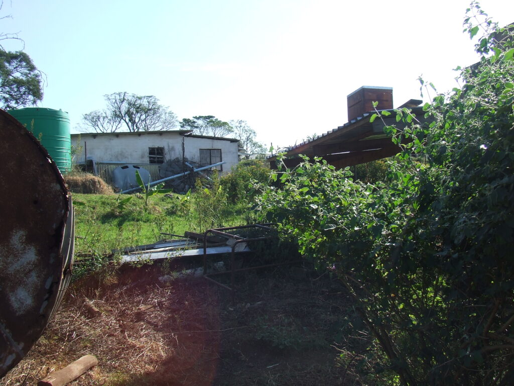 Church Land