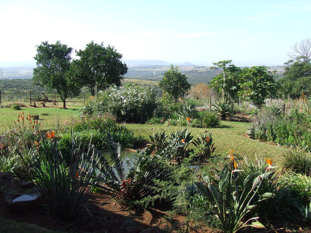 Church Land